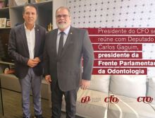Presidente do CFO se reúne com Deputado Carlos Gaguim, presidente da Frente Parlamentar da Odontologia