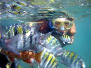 Passeio de Barco Marina Badauê - mergulho de snorkel