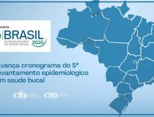 5º levantamento epidemiológico em saúde bucal: Sistema CFO/CROs participa do 1ª Webnário do SB Brasil 2020